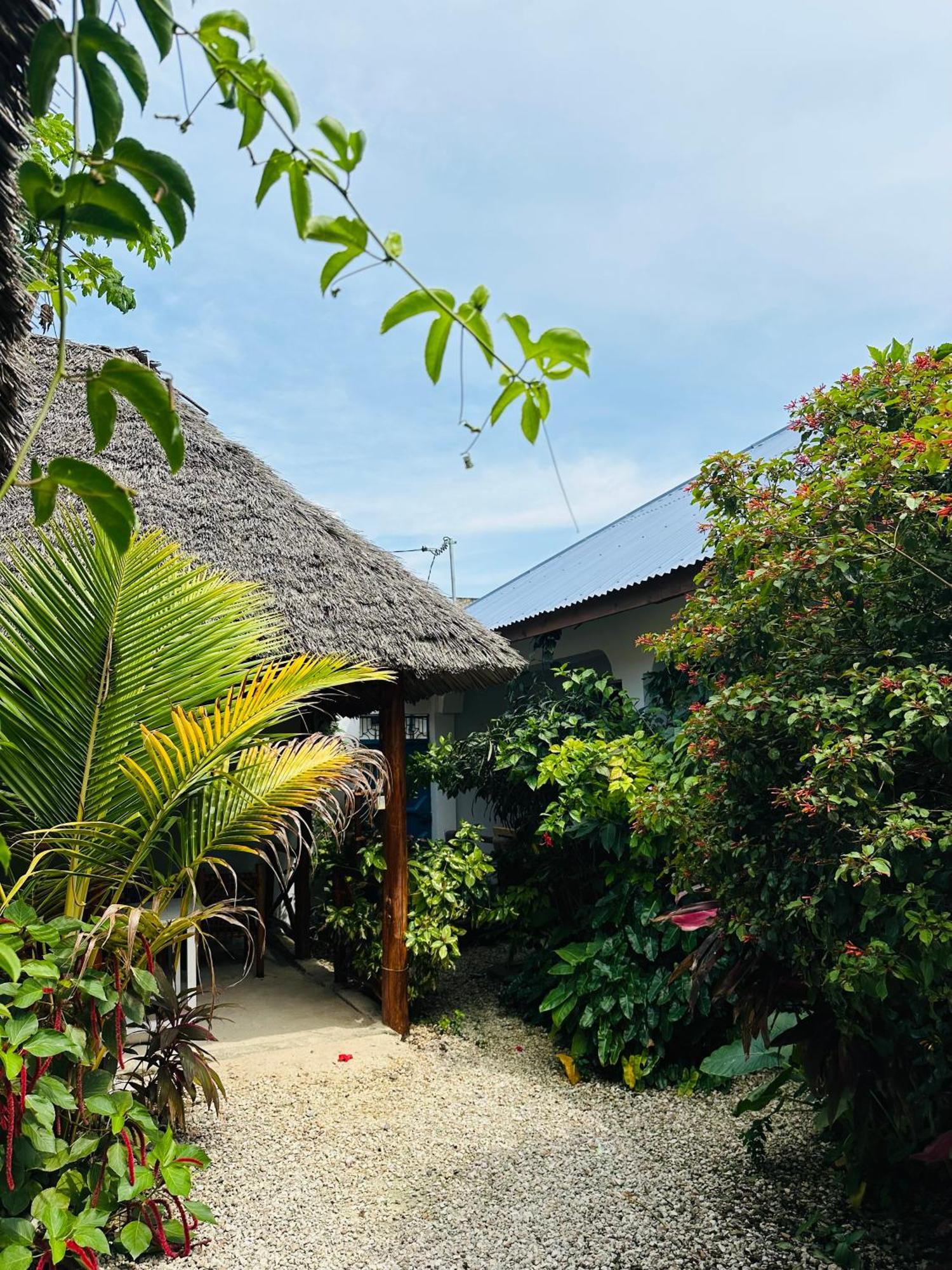 Lighthouse Guesthouse Nungwi Exterior foto